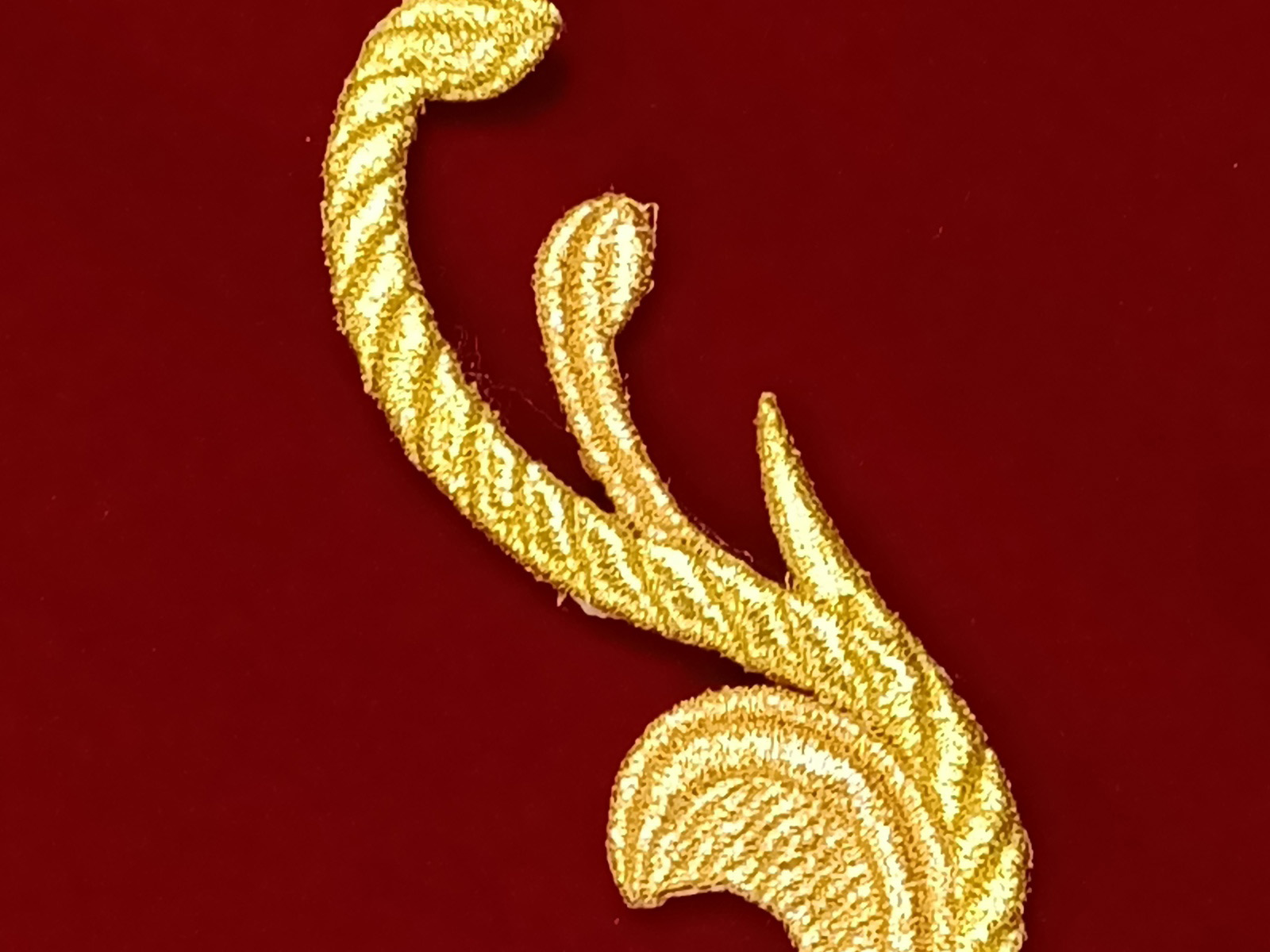 Slide Image