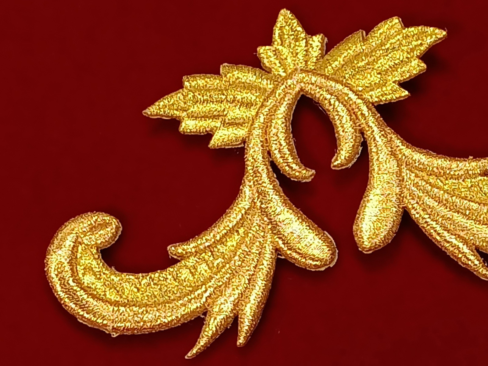 Slide Image