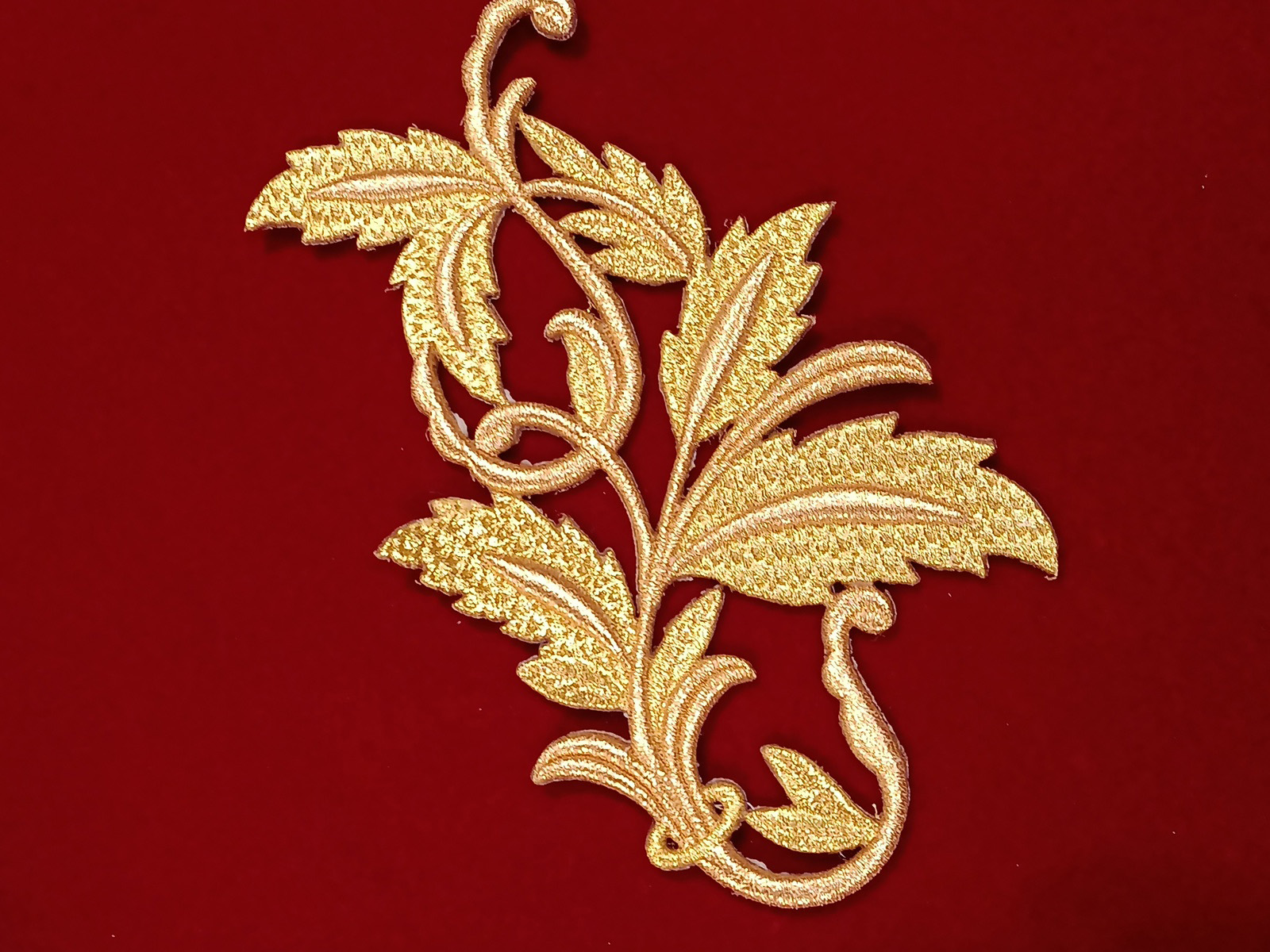 Slide Image