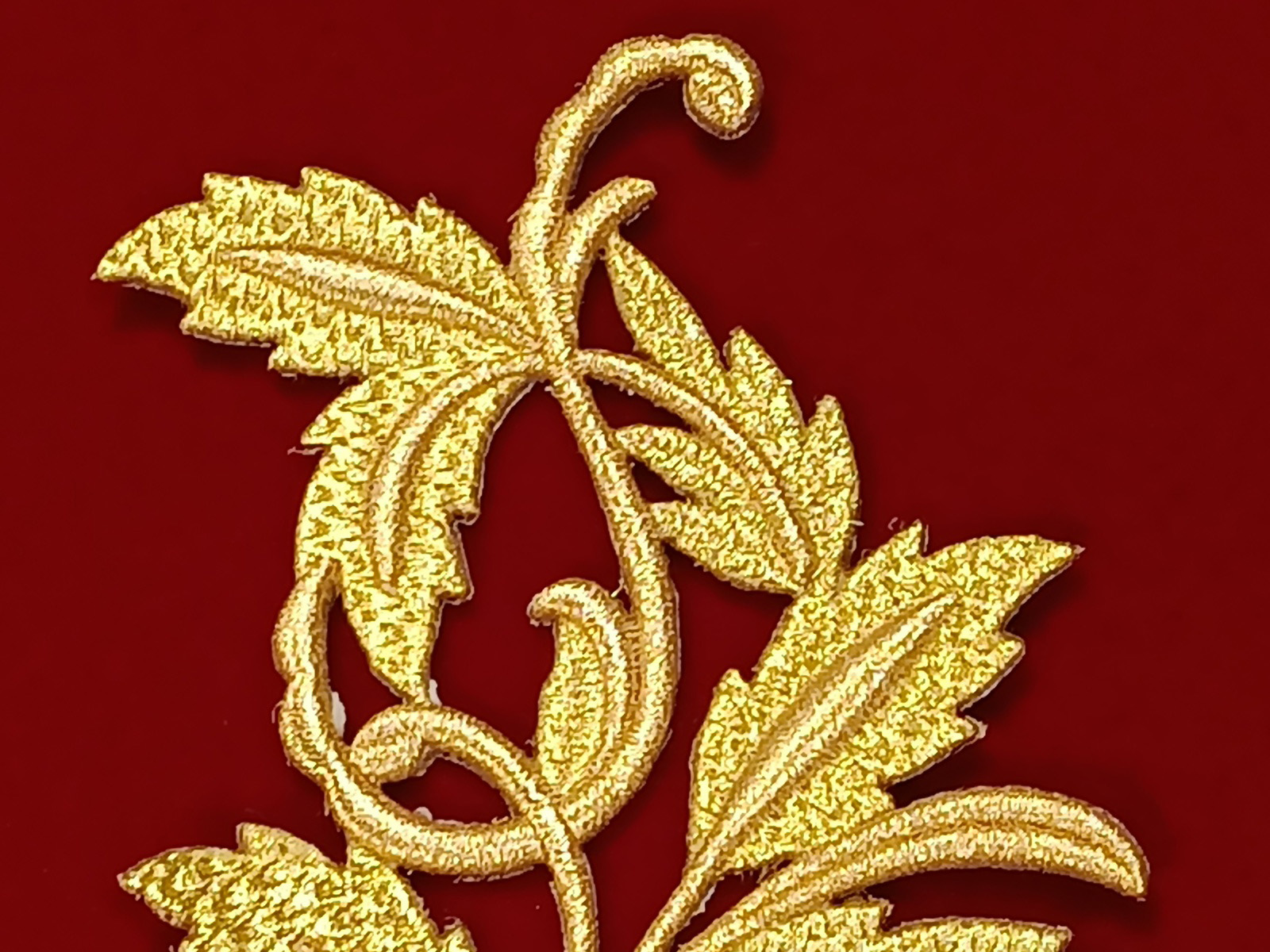 Slide Image