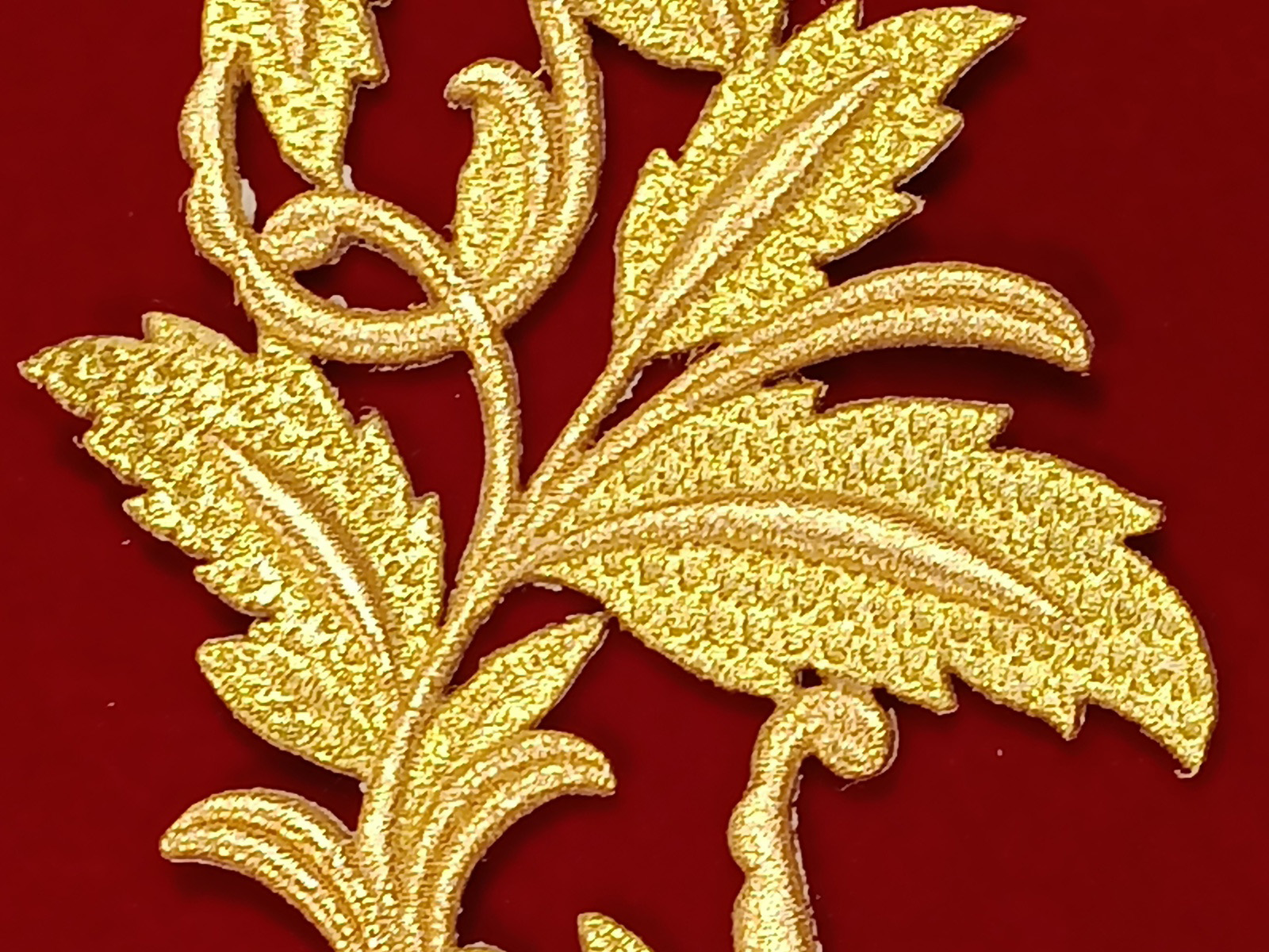Slide Image