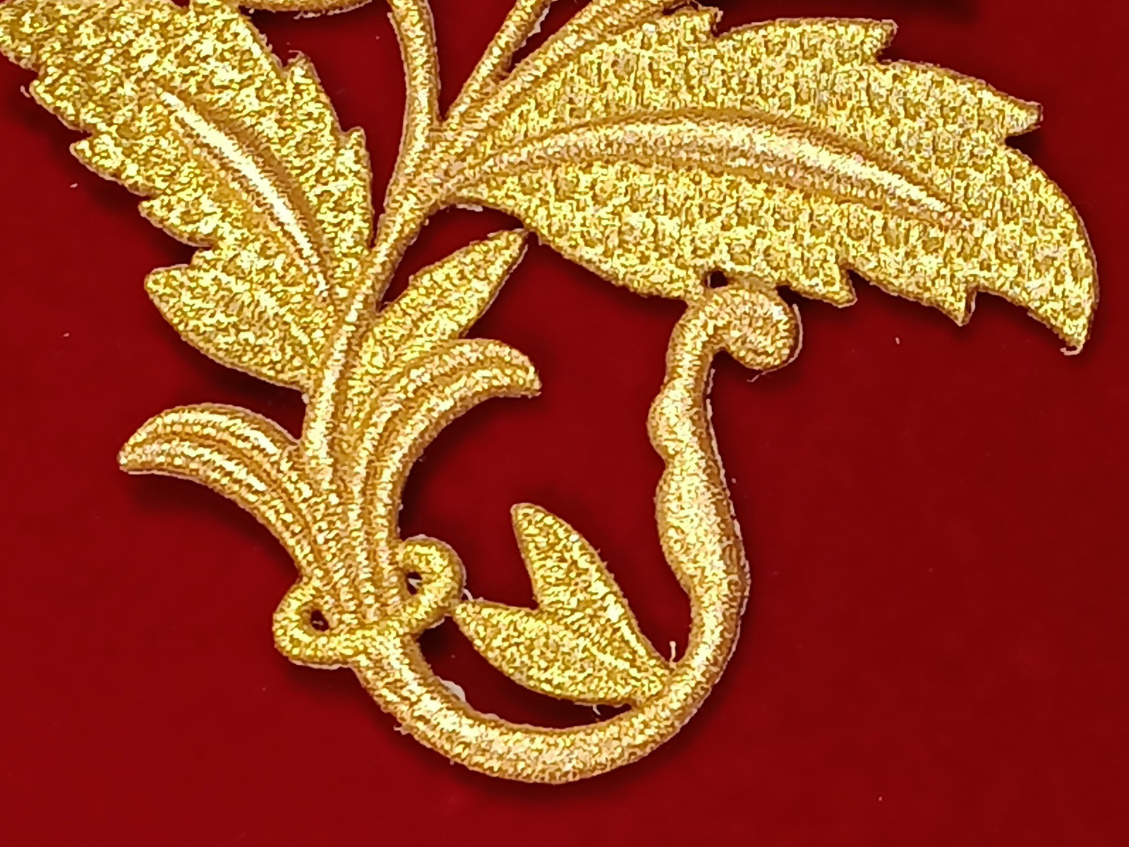 Slide Image