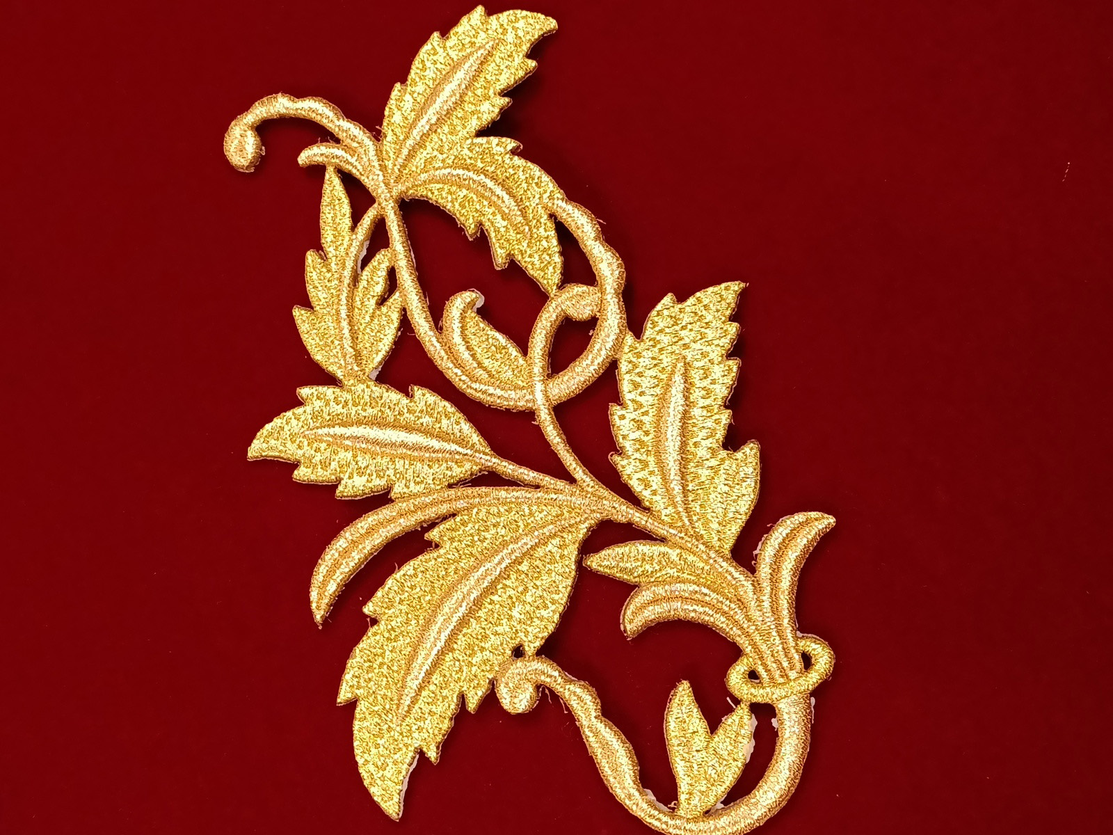 Slide Image
