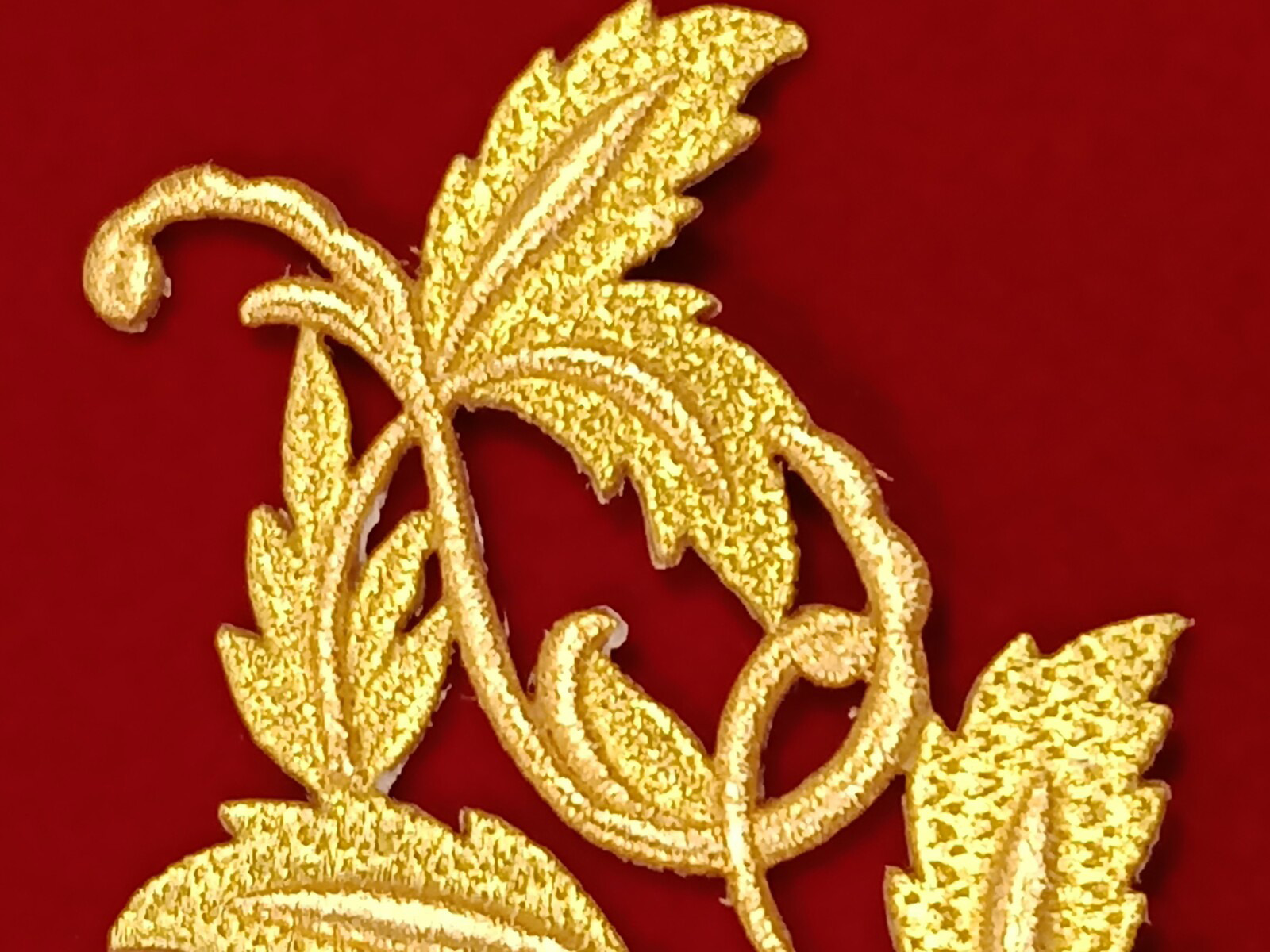 Slide Image