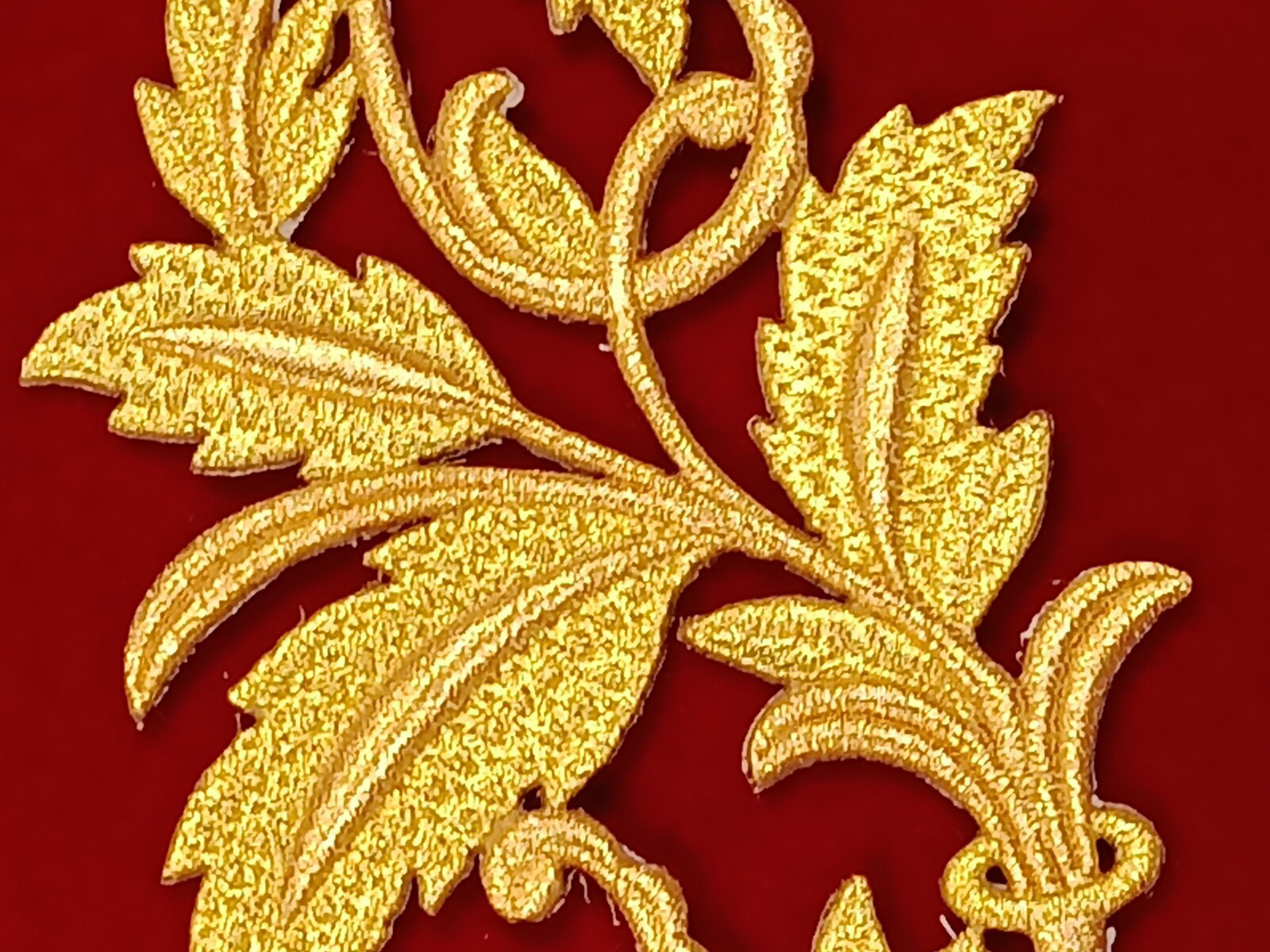Slide Image