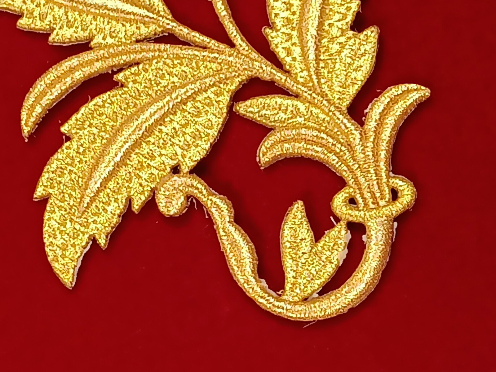 Slide Image
