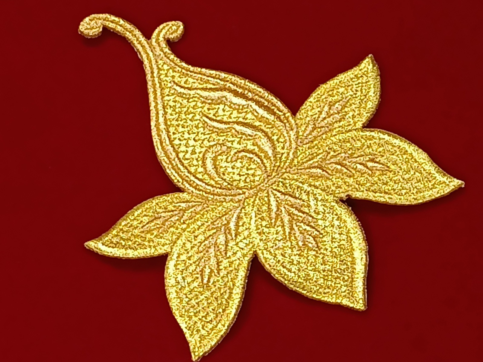 Slide Image