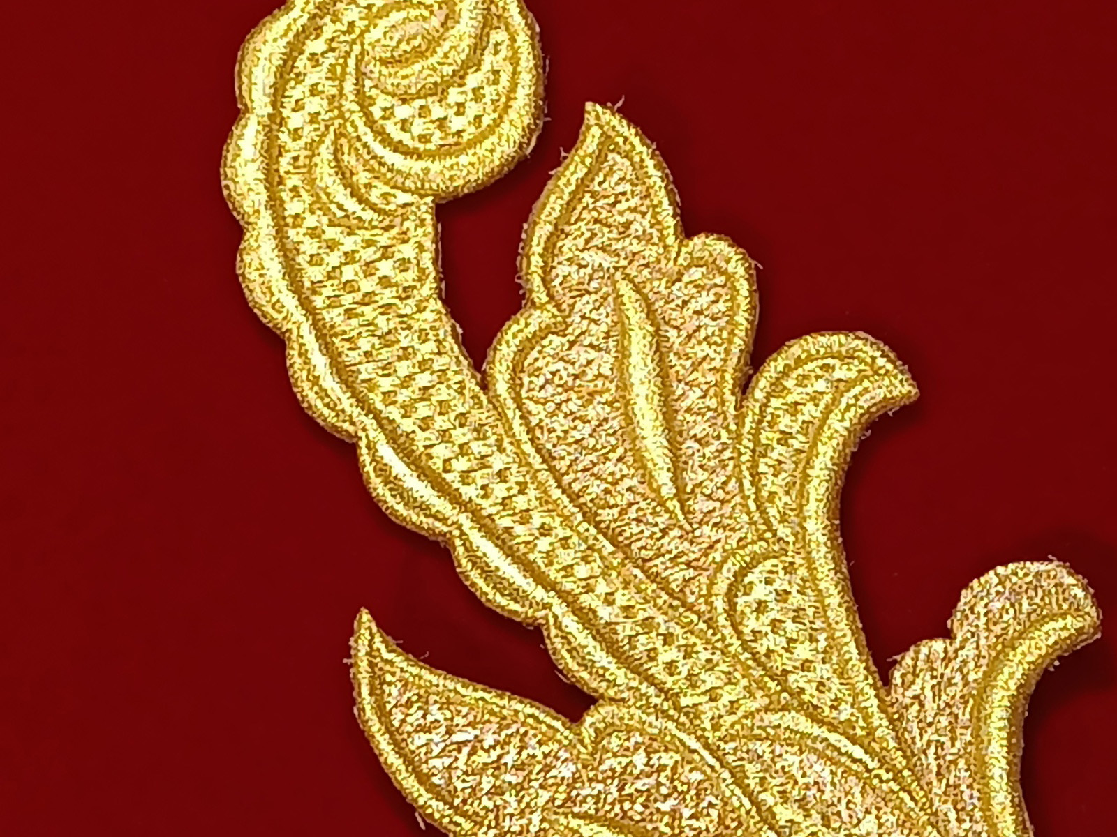 Slide Image