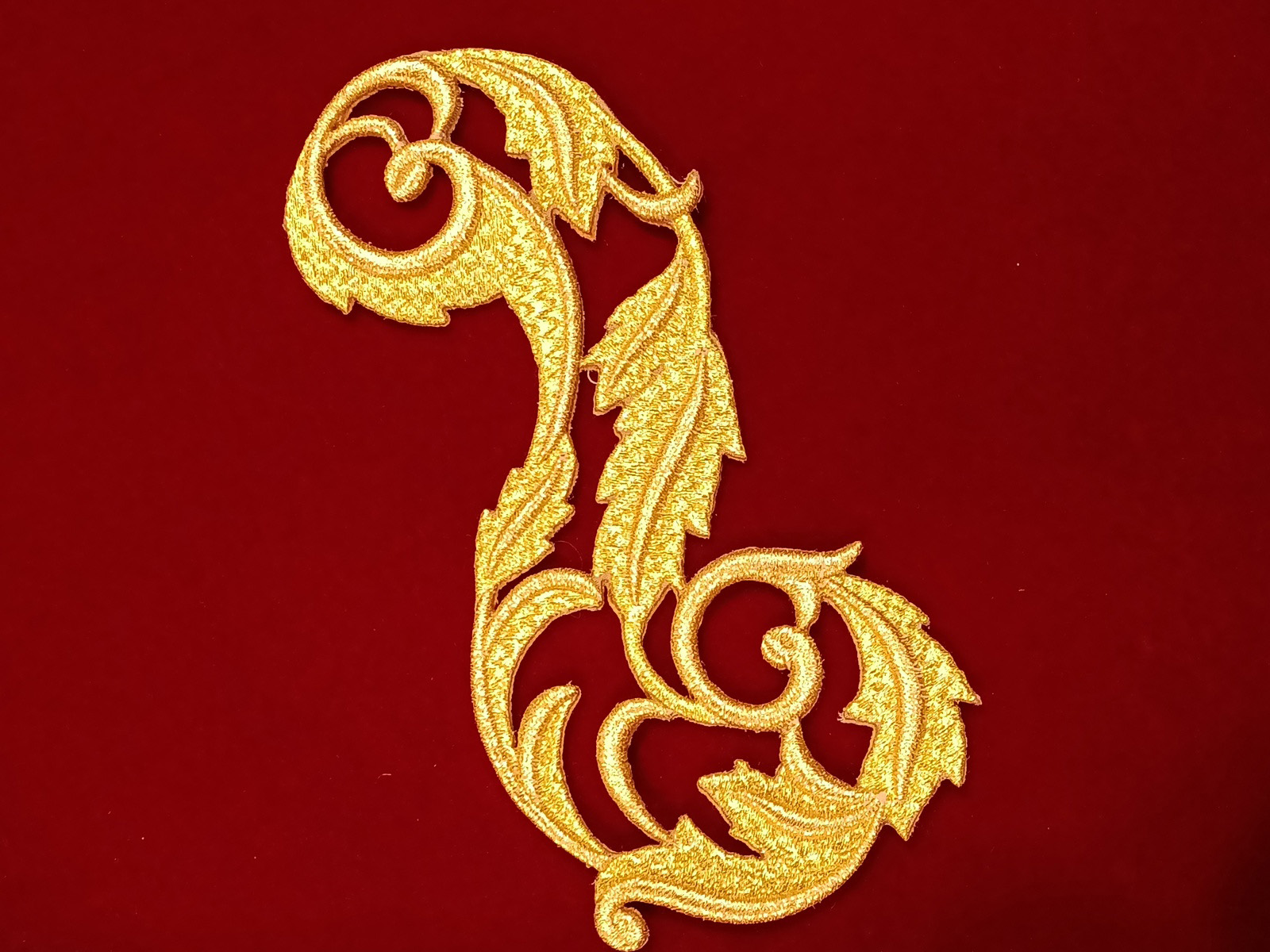 Slide Image