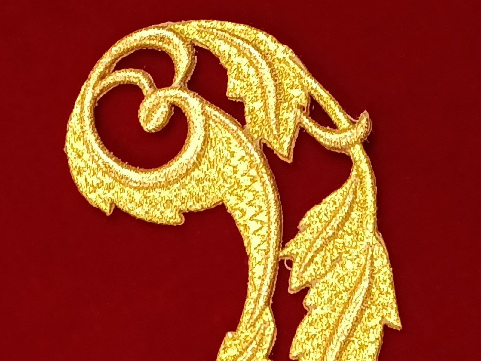 Slide Image