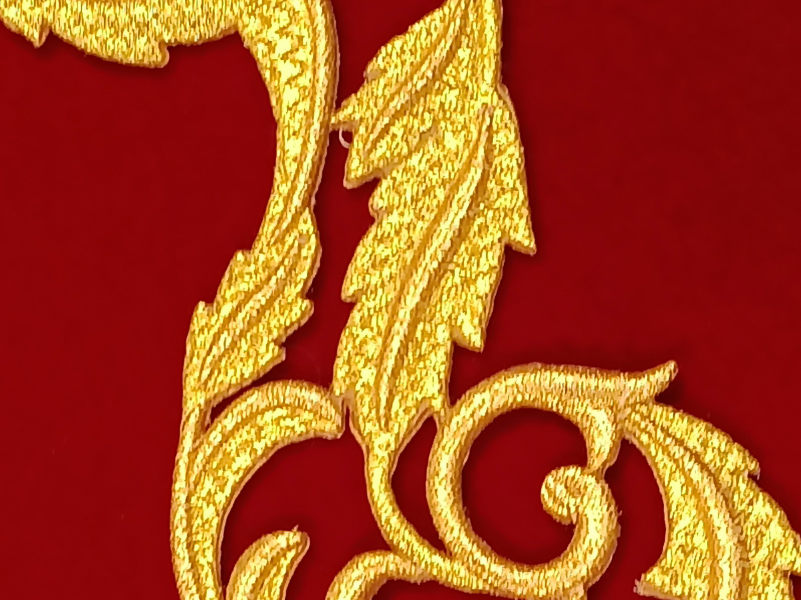 Slide Image