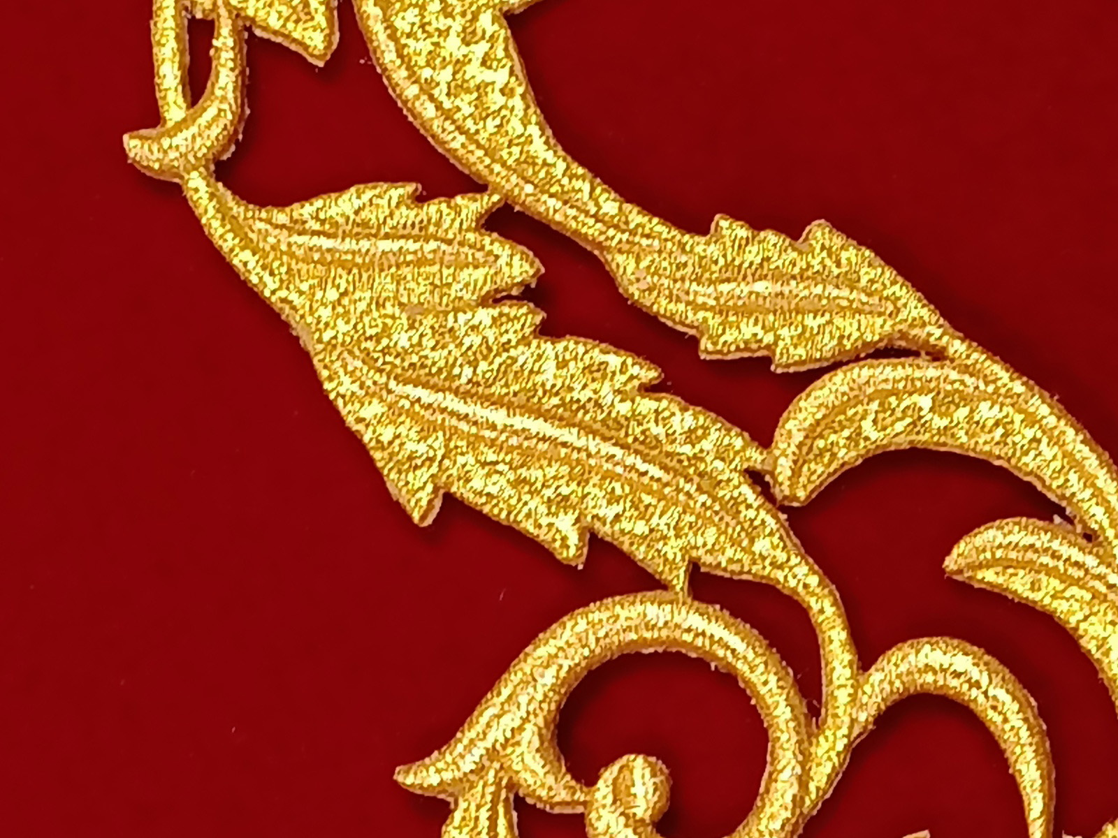 Slide Image