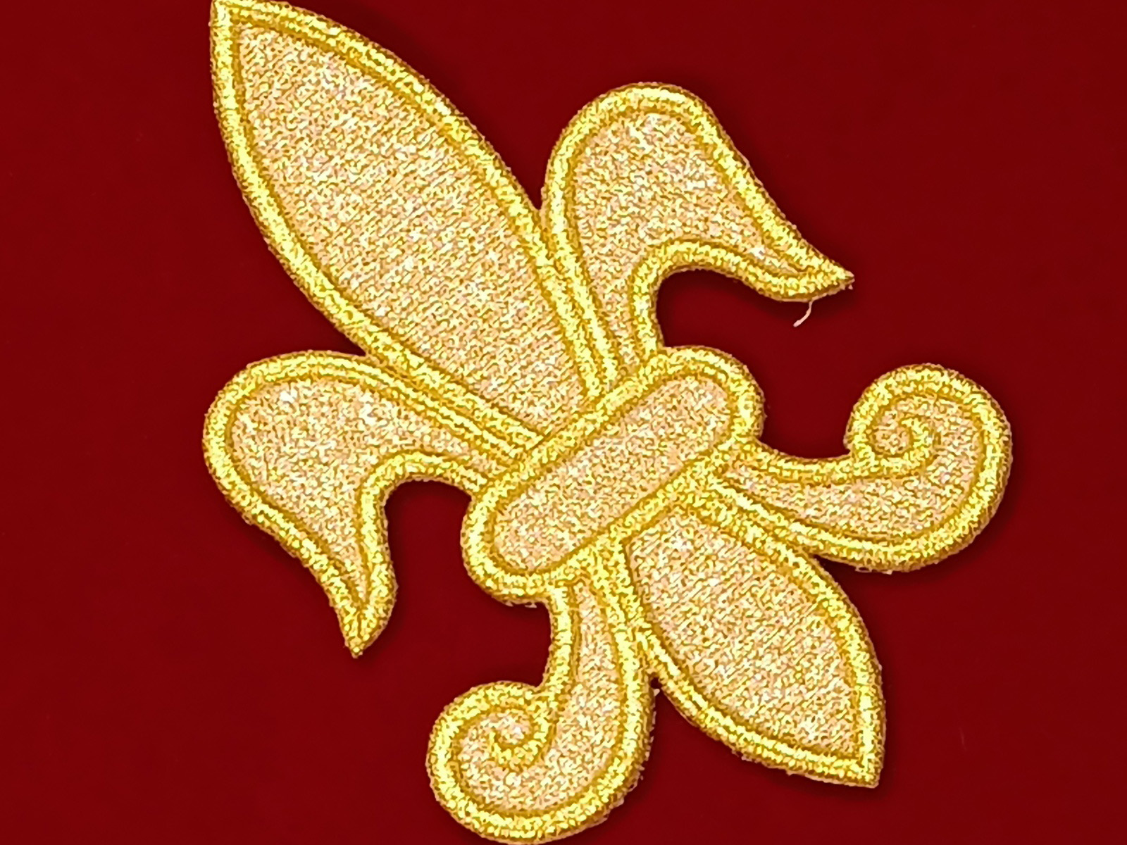 Slide Image