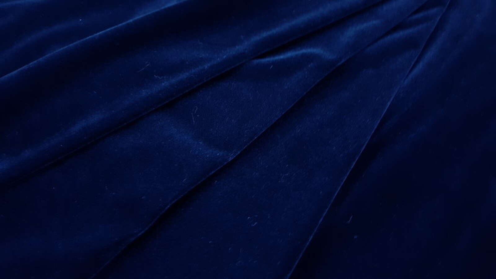 Terciopelo Poliester Azul Marino