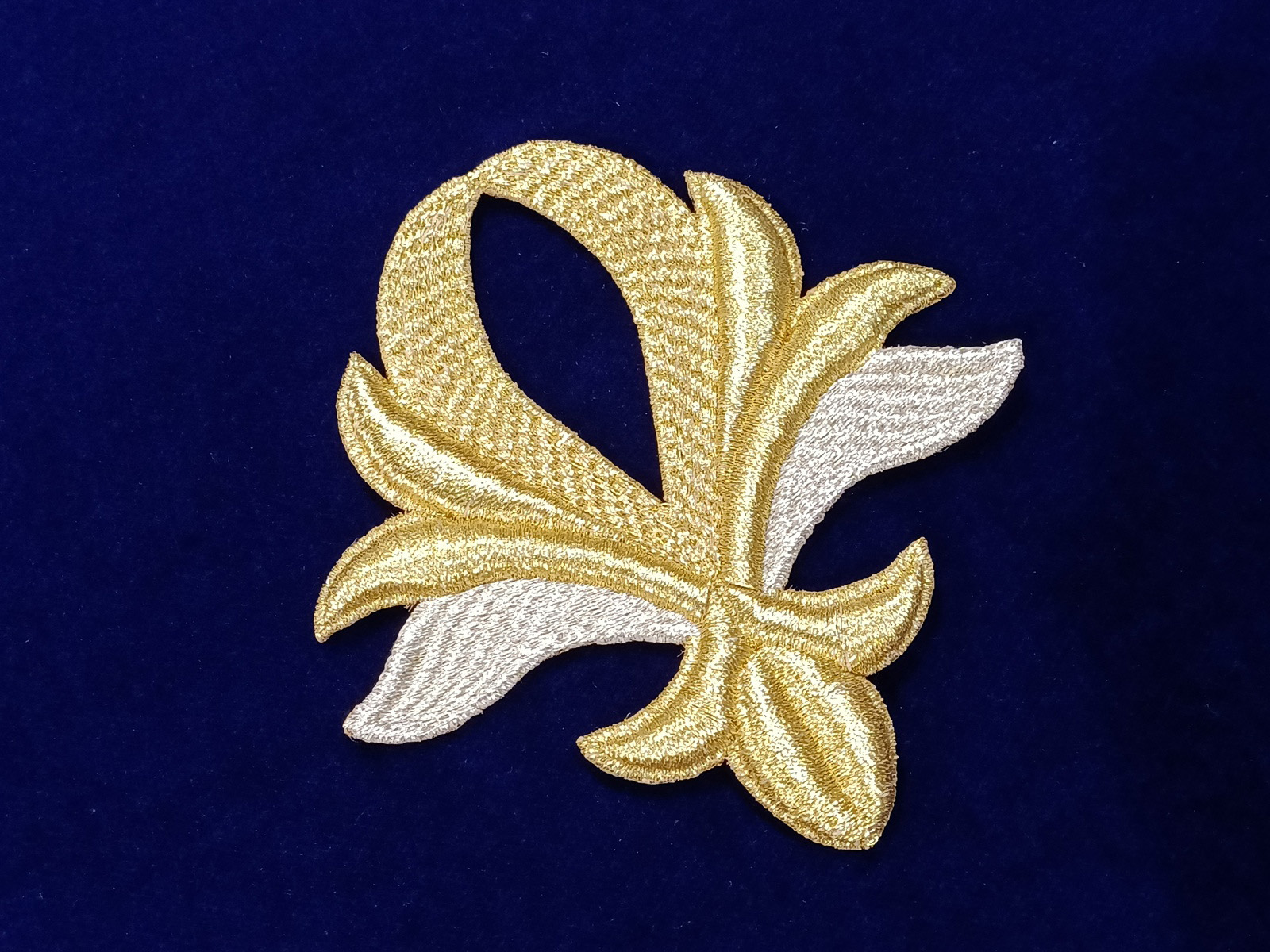 Slide Image
