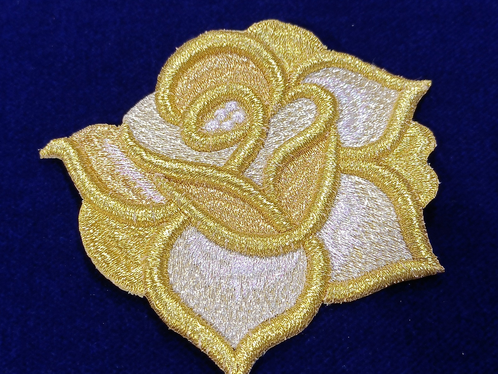 Slide Image