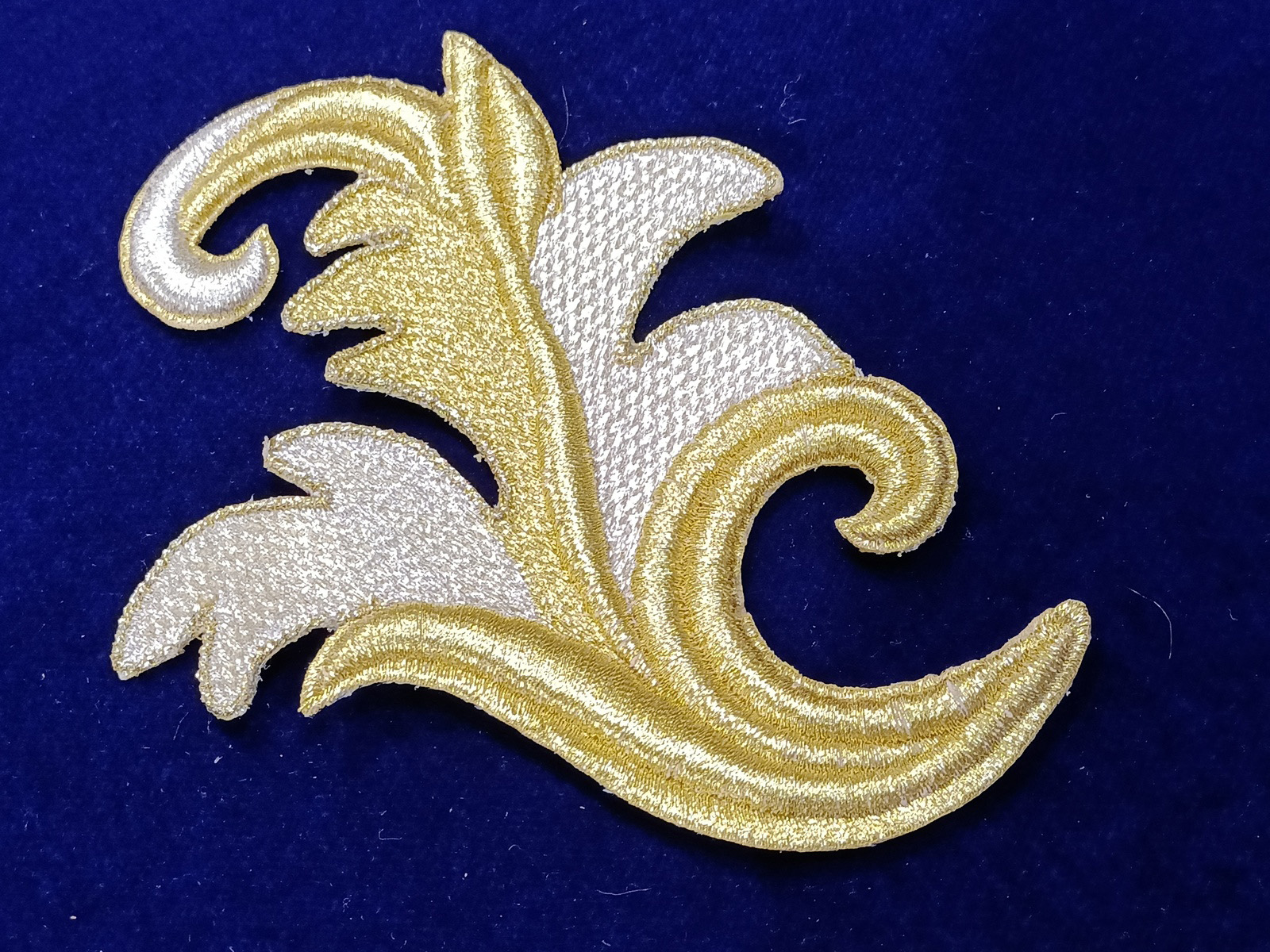 Slide Image