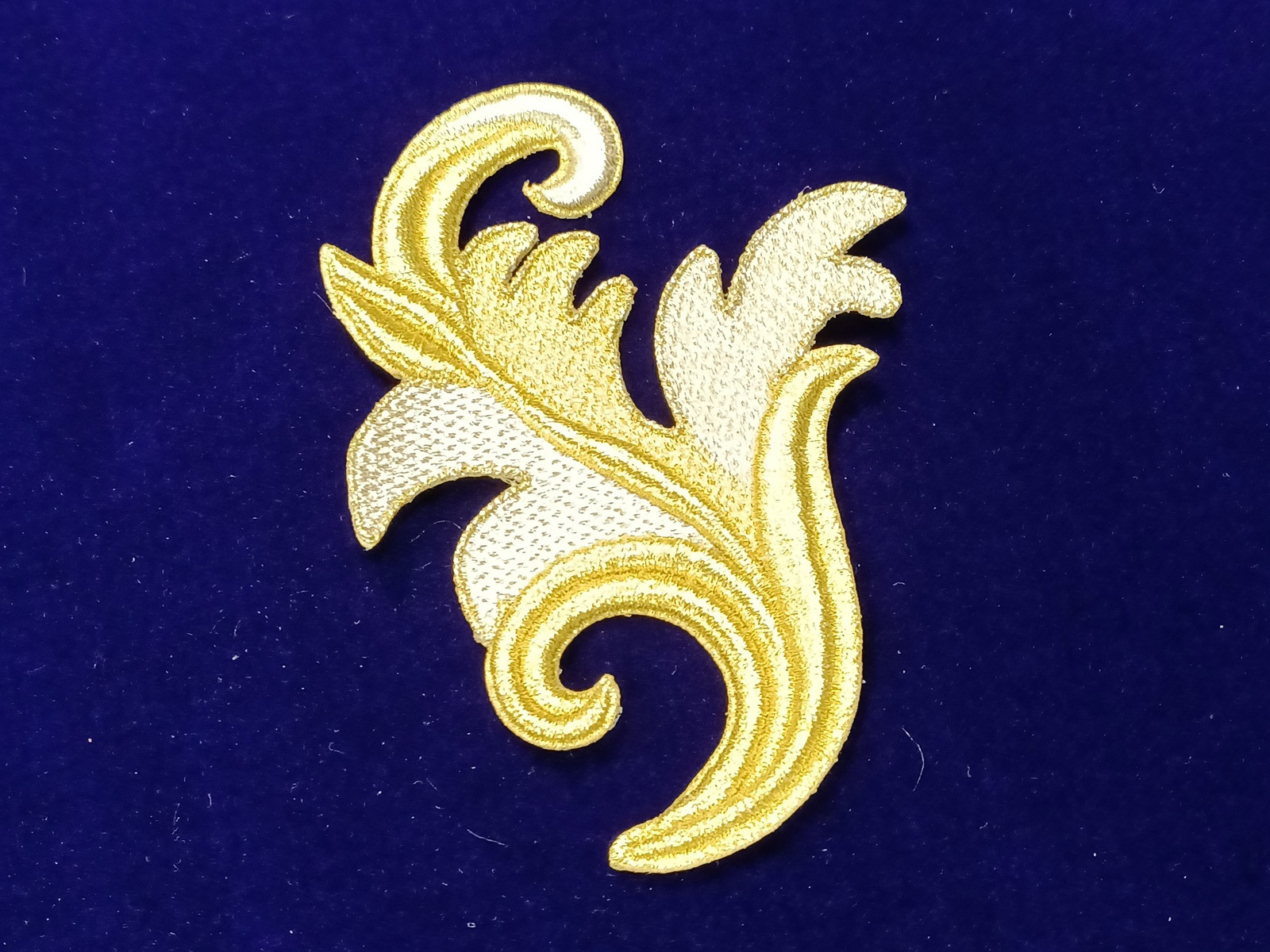 Slide Image