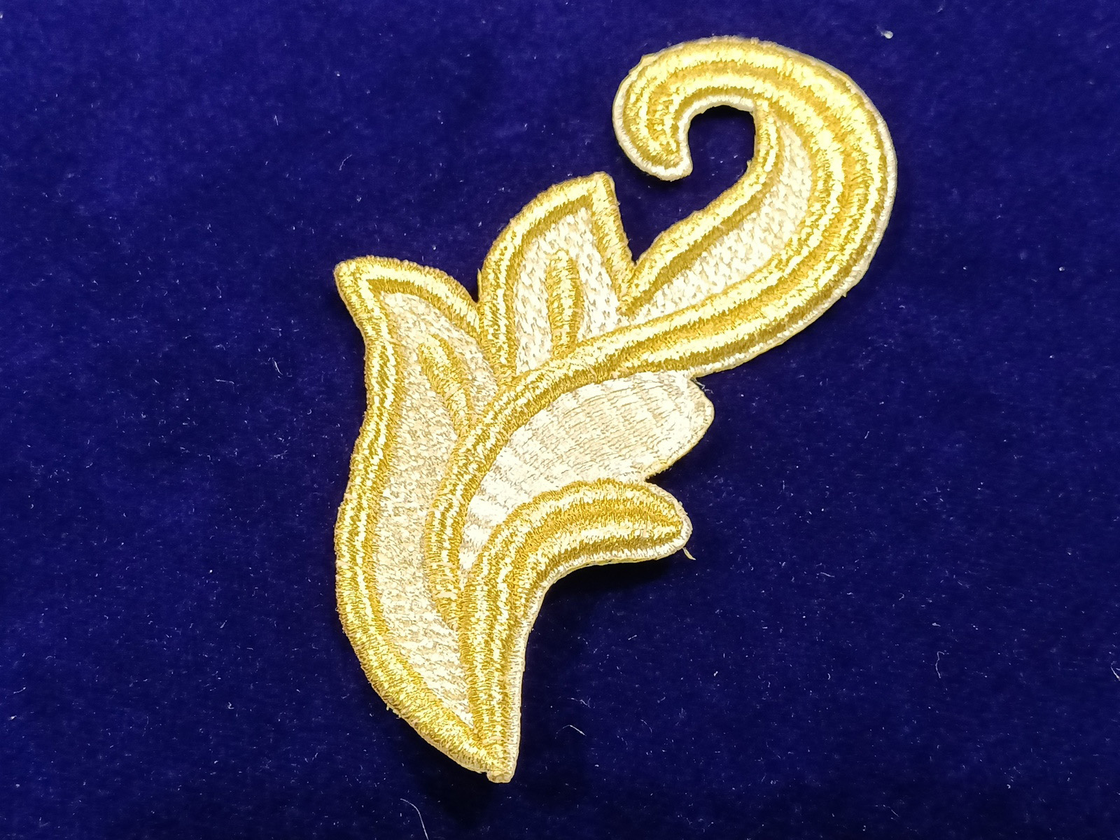 Slide Image