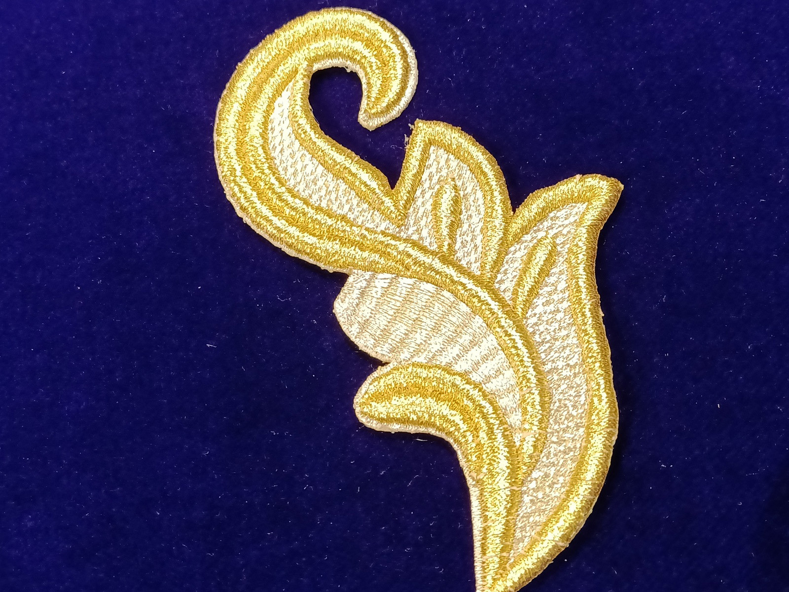 Slide Image