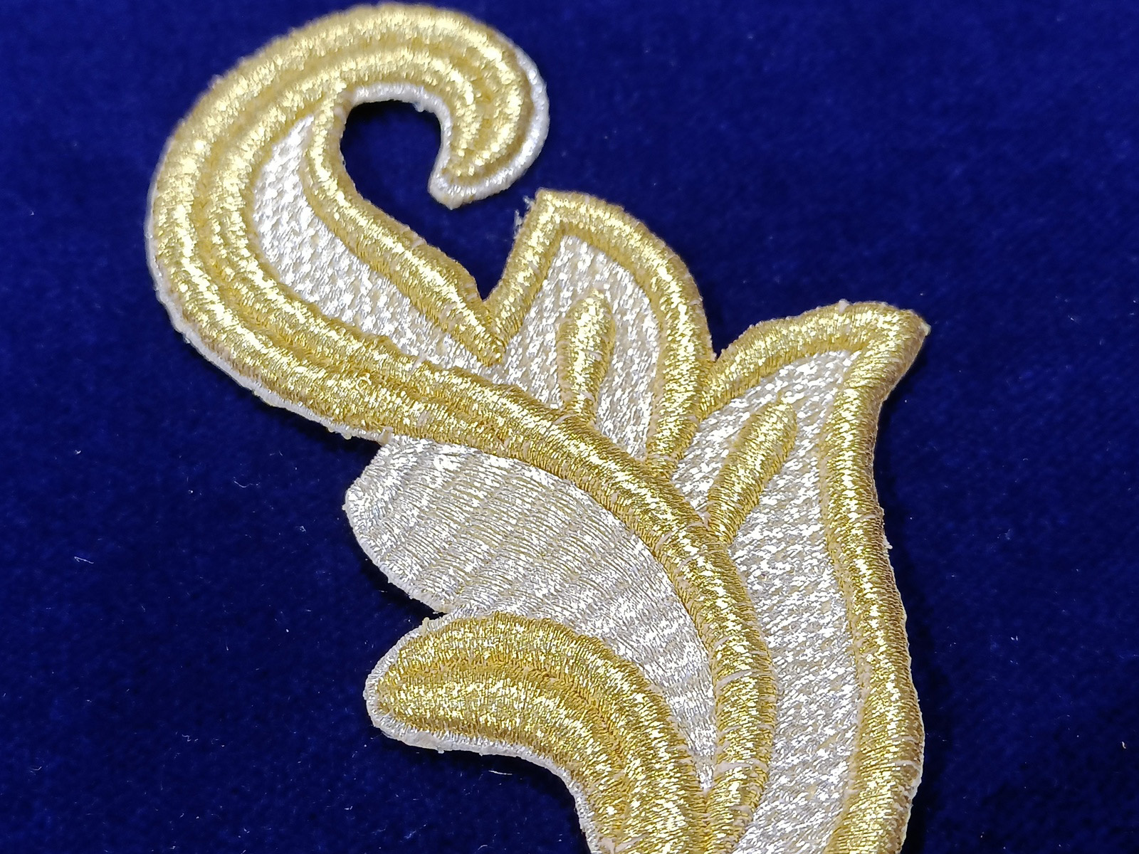 Slide Image