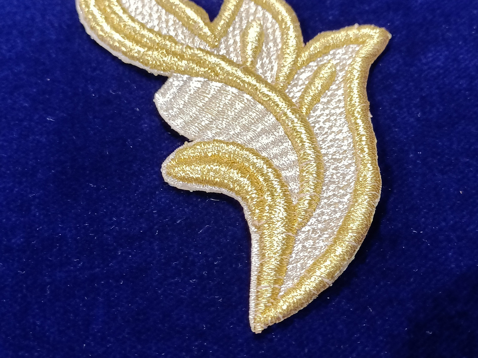 Slide Image